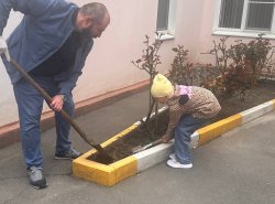 img (6)